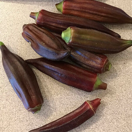 French Quarter Red, Okra Seed image number null